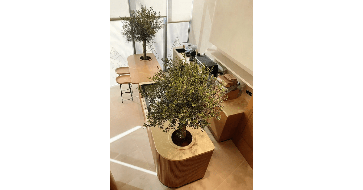 Y.M. Mindful Studio