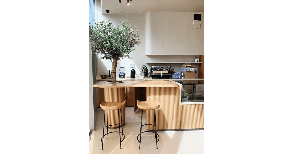 Y.M. Mindful Studio
